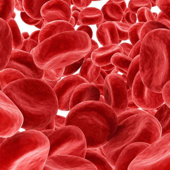 Demir Eksikliğinin Zararları ve Vücut Üzerindeki Etkileri