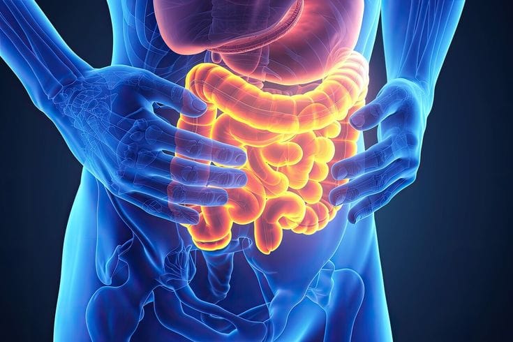 Bağırsak Sağlığı Bozulduğunda Vücut Nasıl Erken Uyarı Sinyalleri Gönderir?